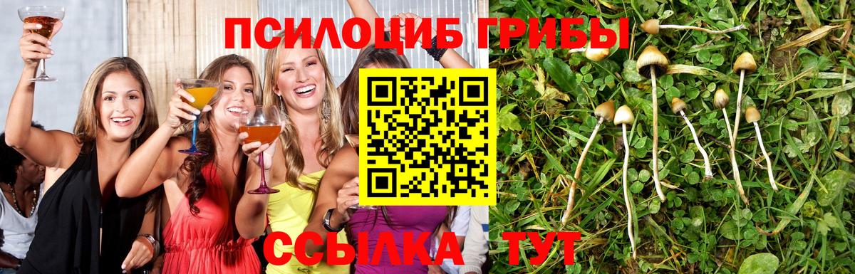 Псилоцибиновые грибы MAGIC MUSHROOMS Ачхой-Мартан