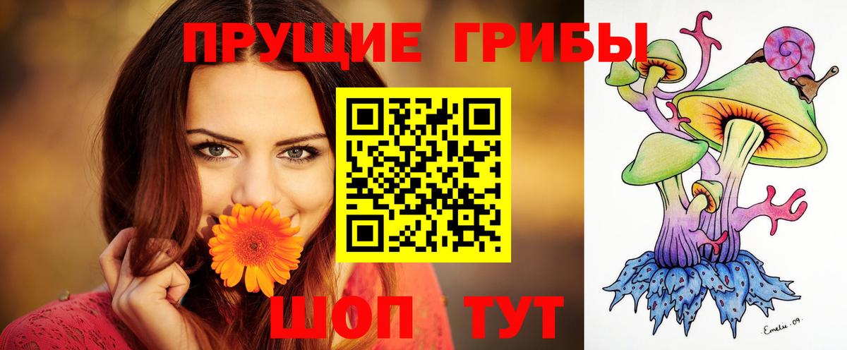 Ачхой-Мартан  Псилоцибиновые грибы мухоморы  Галлюциногенные грибы мухоморы  Вход с VPN 